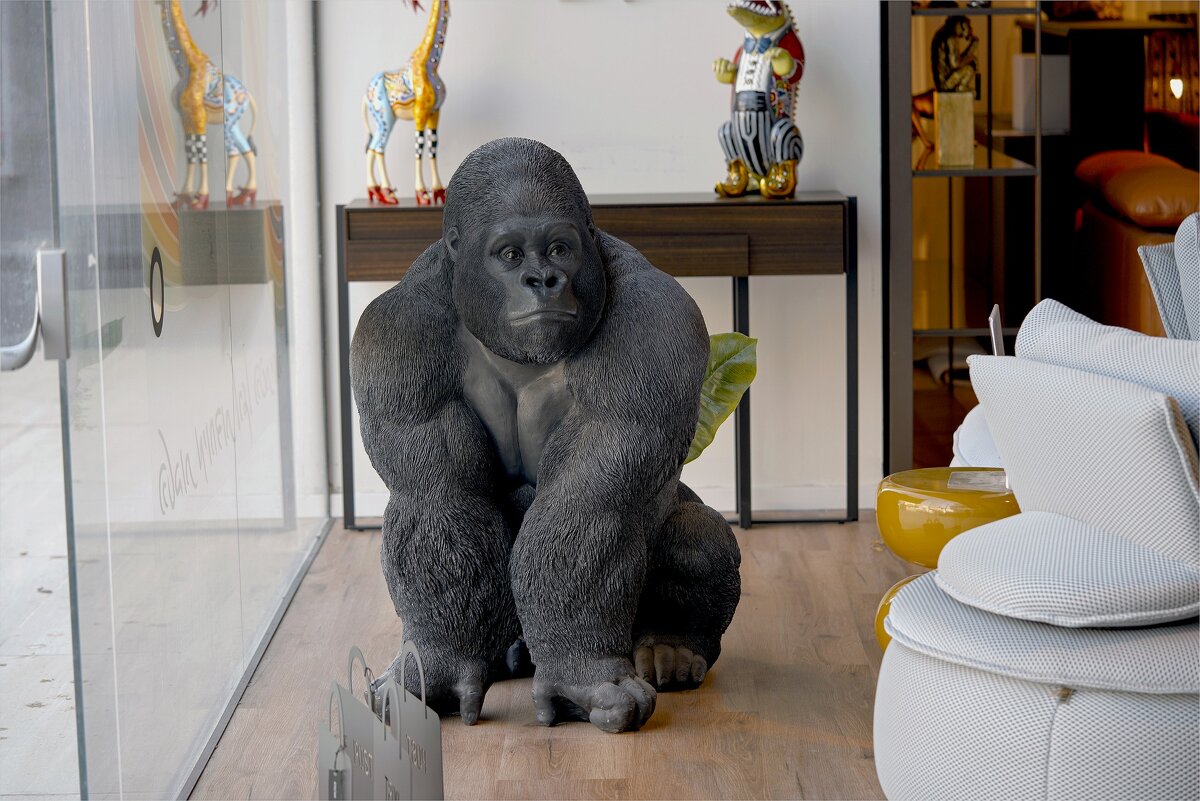 Divani Center 09,11,2025Г В МАГАЗИНЕ - ujgcvbif 