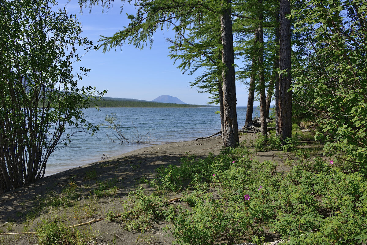 *** - Александр Хаецкий