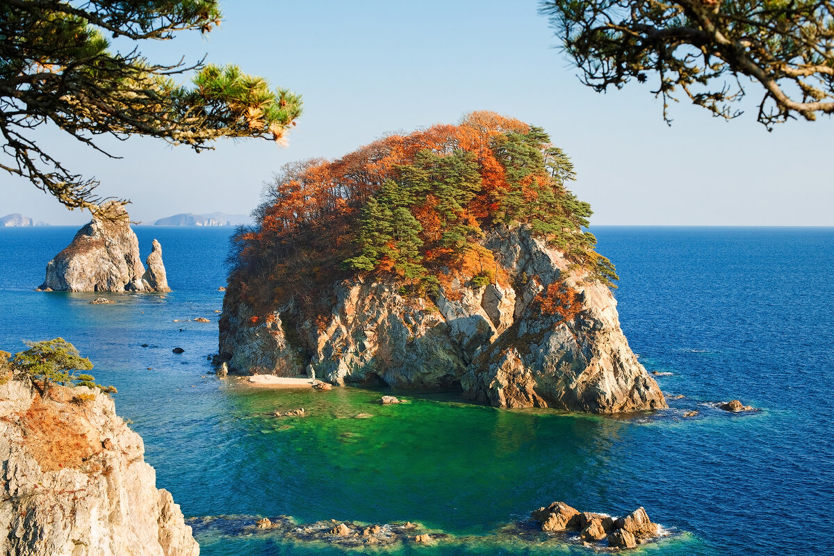 осенний ёжик - ЕВГЕНИЯ БОРИСЕНКО