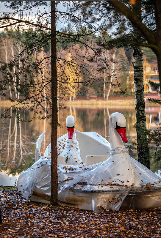 Отдых в конце сезона...) - Bosanat 