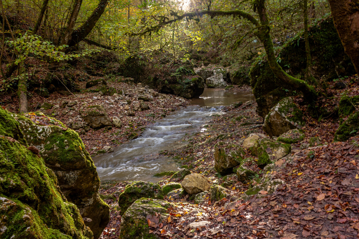 Адыгея.Водопады Руфагбо. - ирина )))