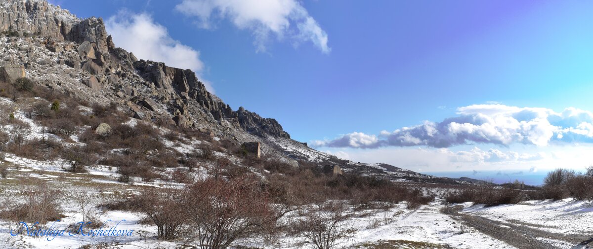 Природа Крыма - Amazing Cosmea