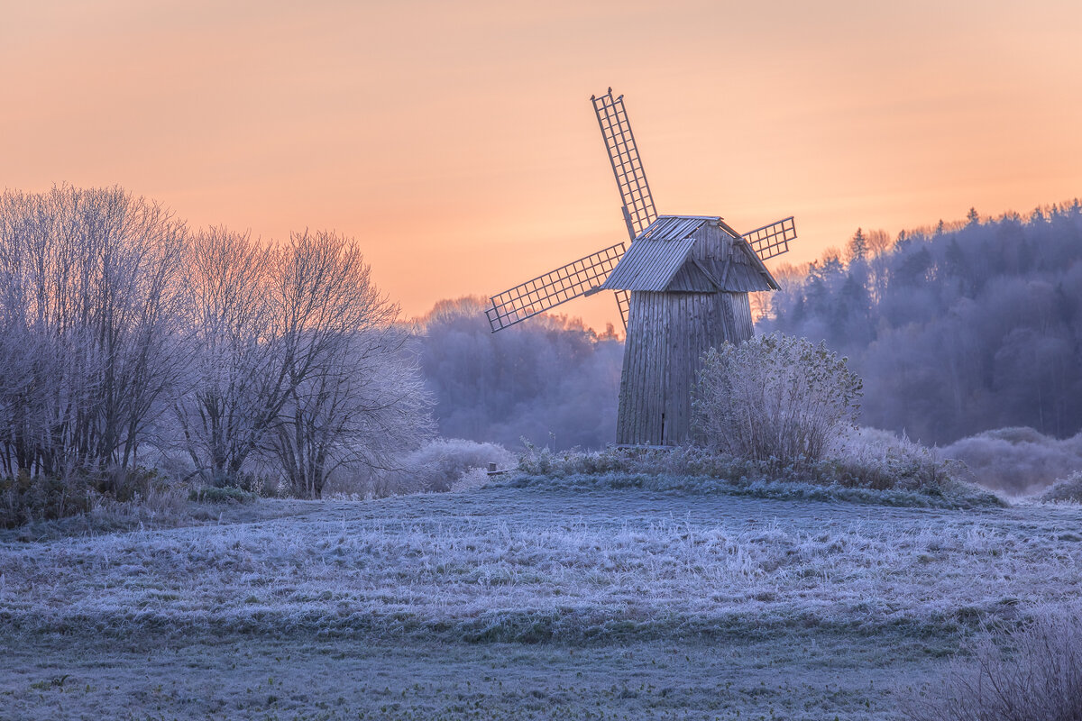 **** - Елизавета .