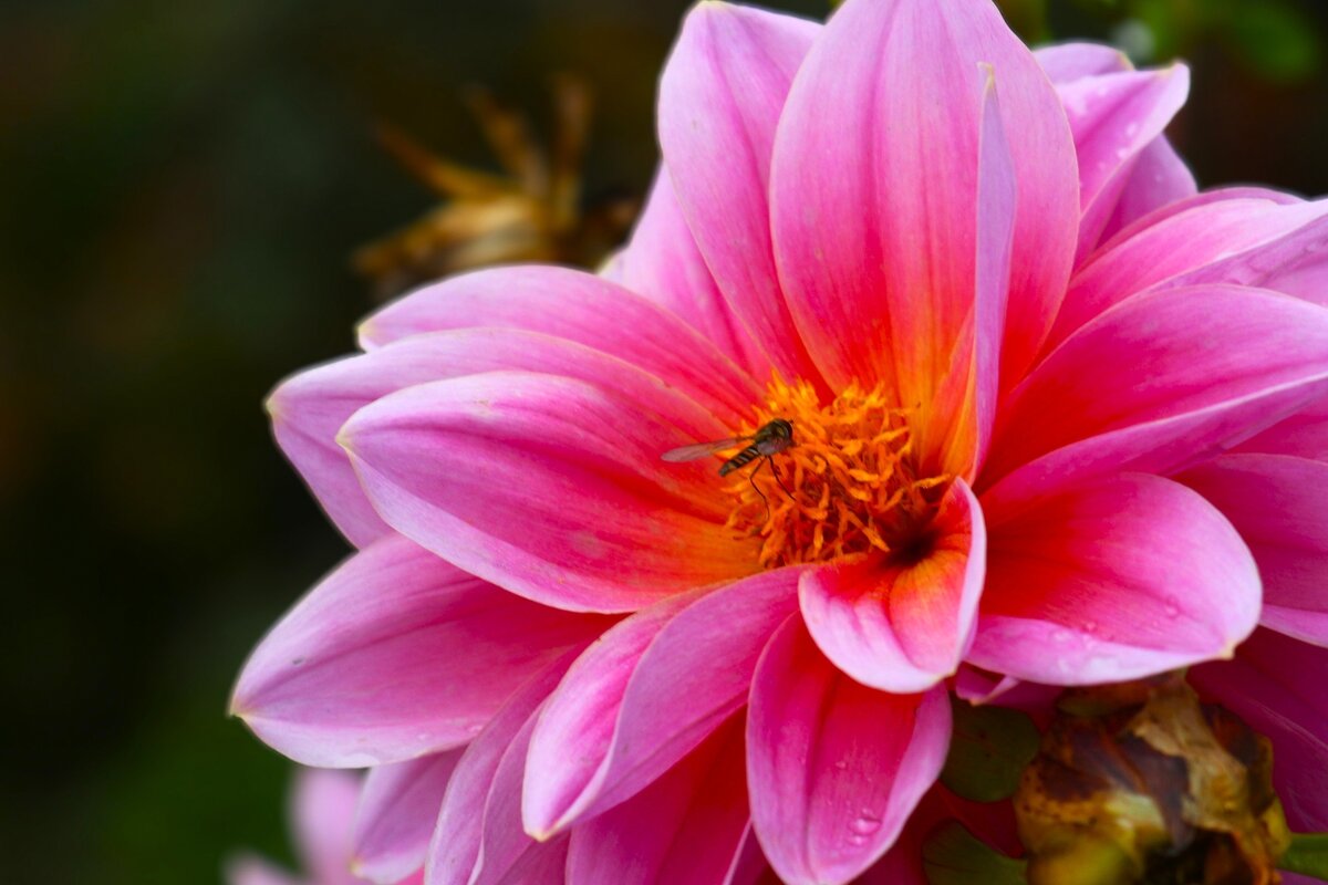 Доброе утро - Юрий. Шмаков