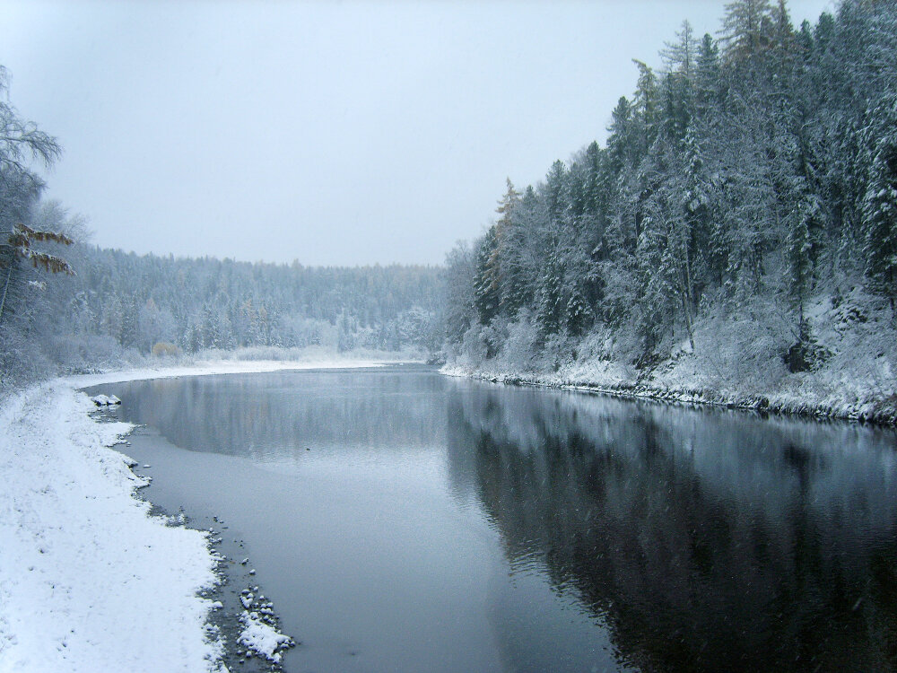 А на утро выпал снег... - Галина Ильясова А на утро выпал снег... - Галина Ильясова