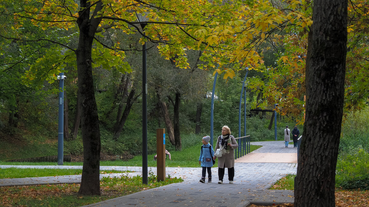 Прогулки в Осеннем Парке - юрий поляков