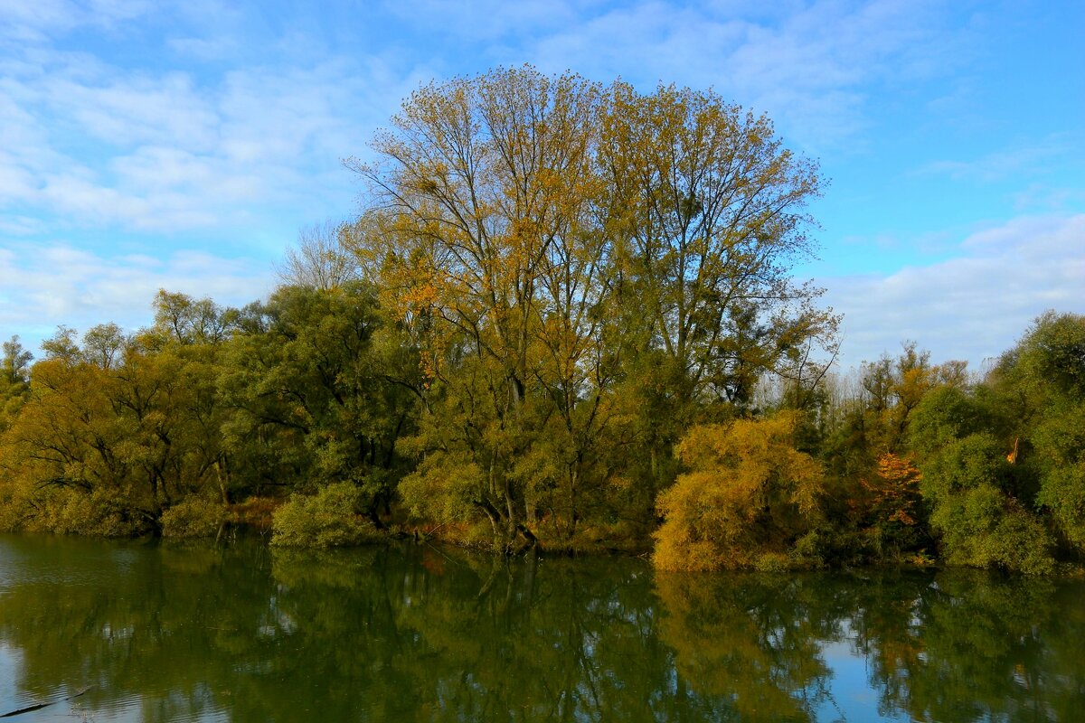 День ноября - Юрий. Шмаков