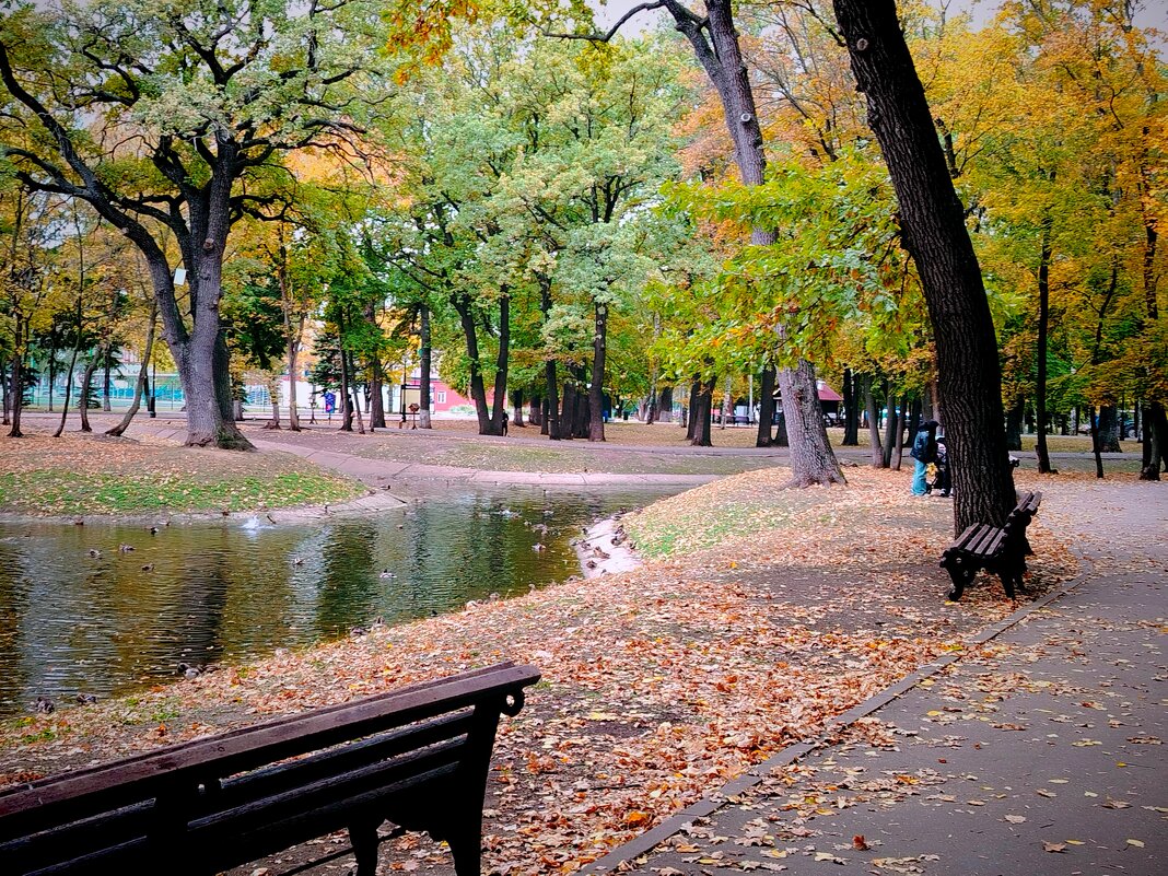 В парке - Надежда 