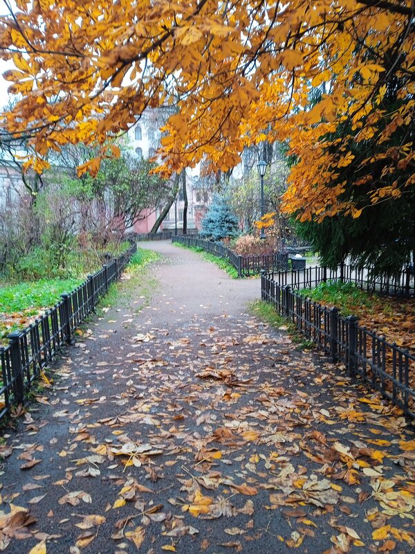 Осень в церковном саду. - Светлана Калмыкова Калмыкова