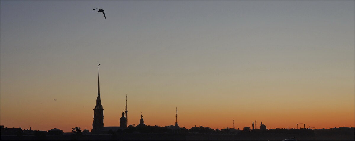 с первыми петухами - sv.kaschuk 