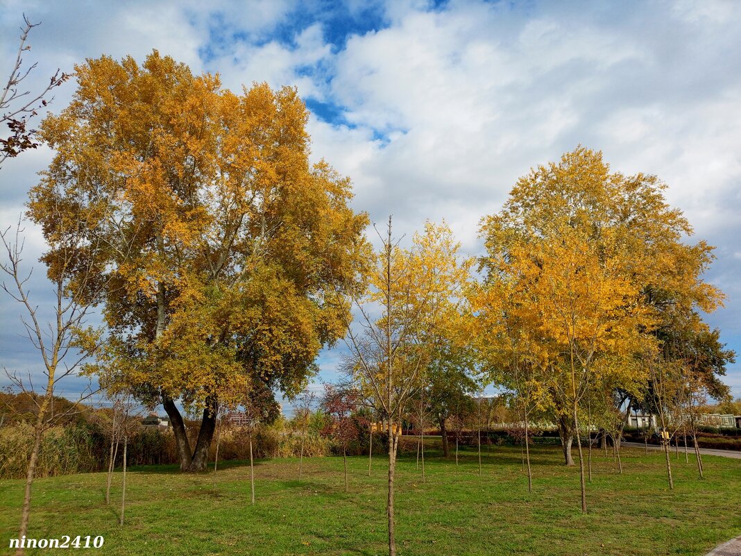 В ростовском экопарке Первая миля - Нина Бутко В ростовском экопарке Первая миля - Нина Бутко