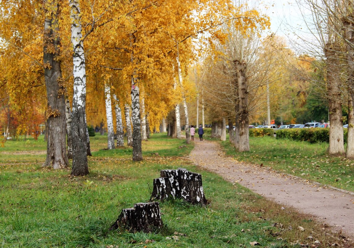 Мой город - Венера Чуйкова Мой город - Венера Чуйкова