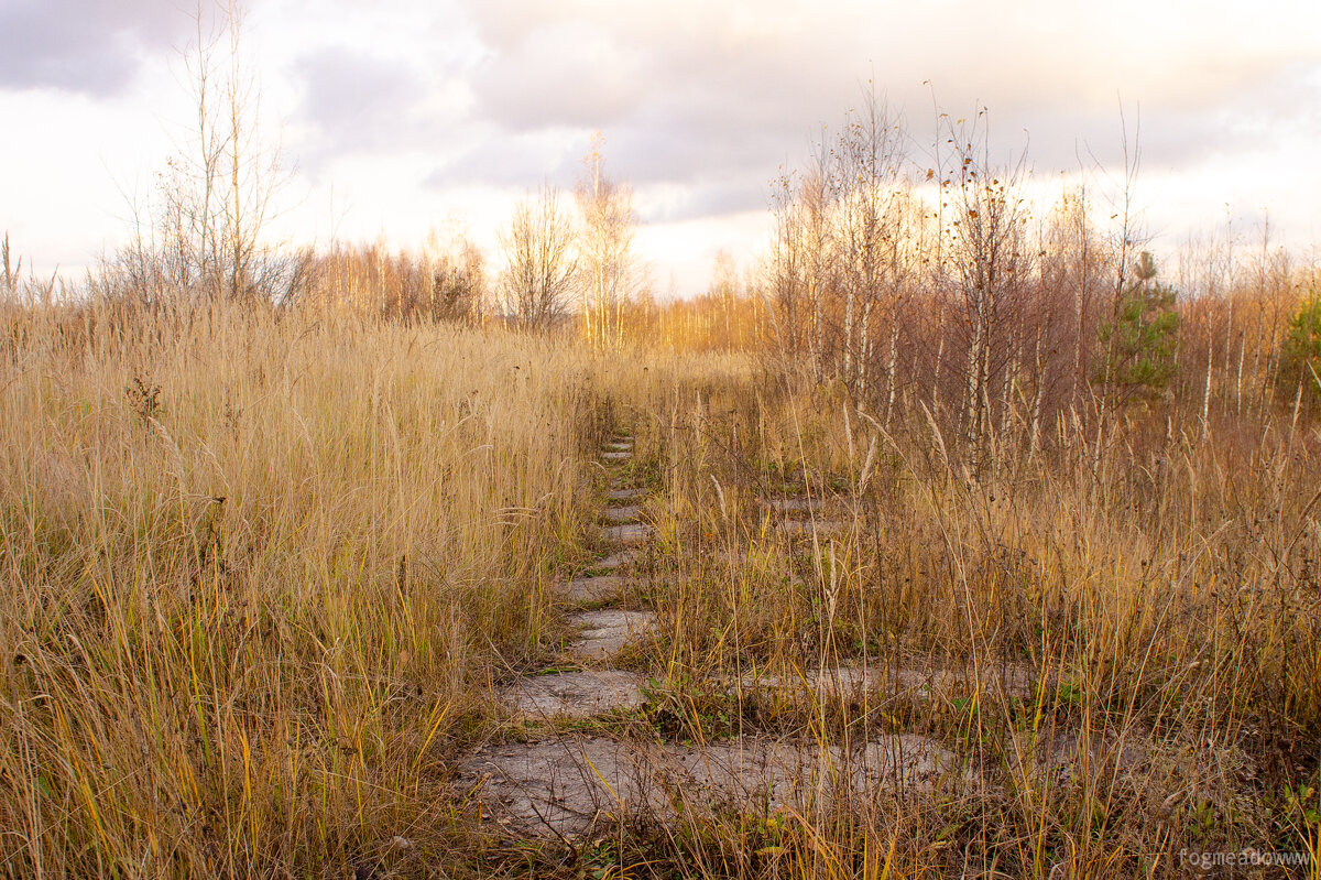 тропинка - fogmeadowww m