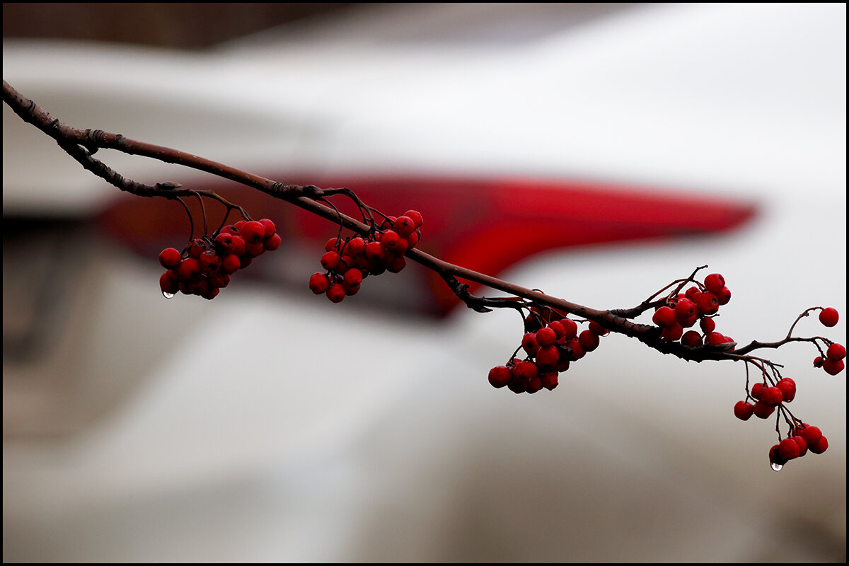 Дождливо - Сергей Премонишын