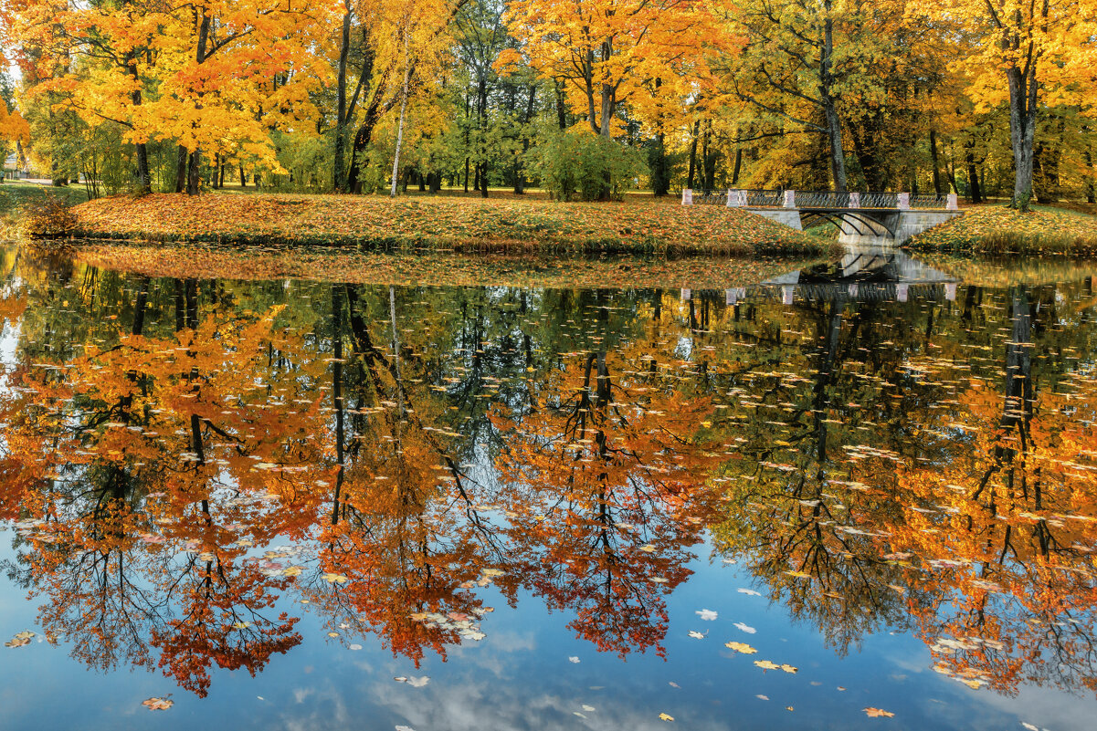 Про Питер - Владимир Колесников Про Питер - Владимир Колесников