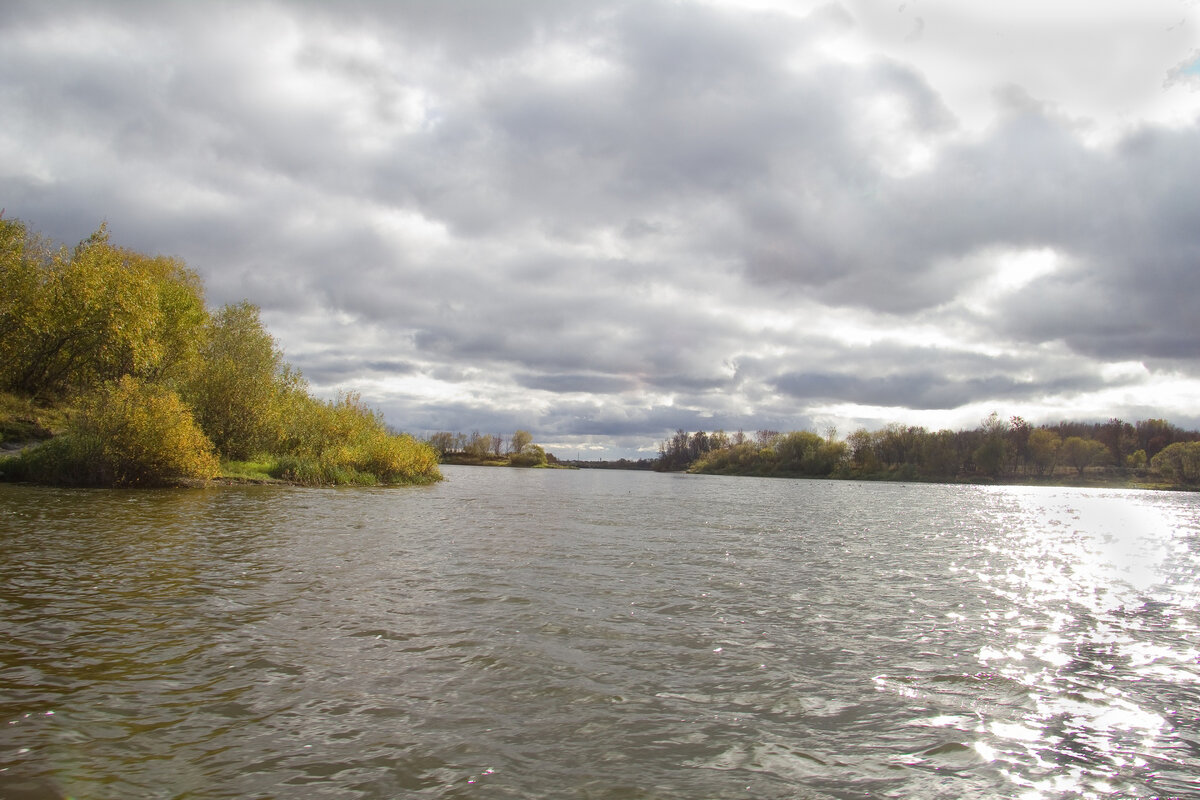 В октябре р.Сож - Сергей Рожков