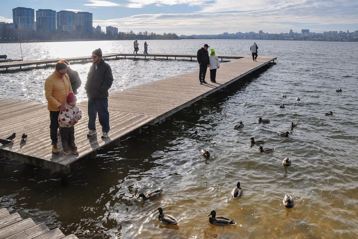 Кормление уточек - любимое занятие - Татьяна Машошина