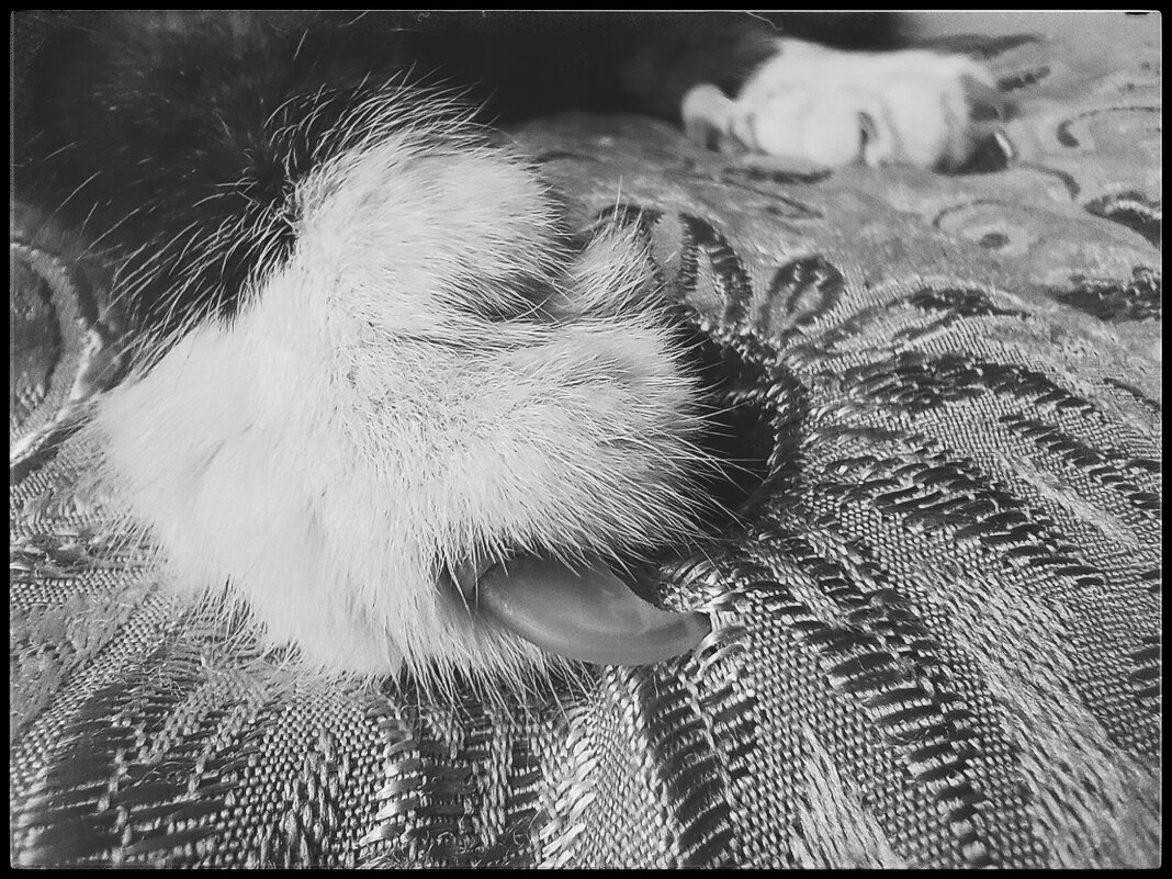 Зацепился... - Руслан 