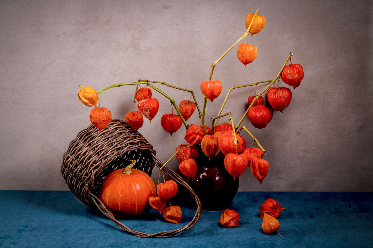 Физалис и тыква - Людмила Павловна Крышковец