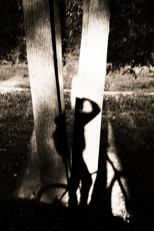 Фотография - Денис Безногов Фотография - Денис Безногов