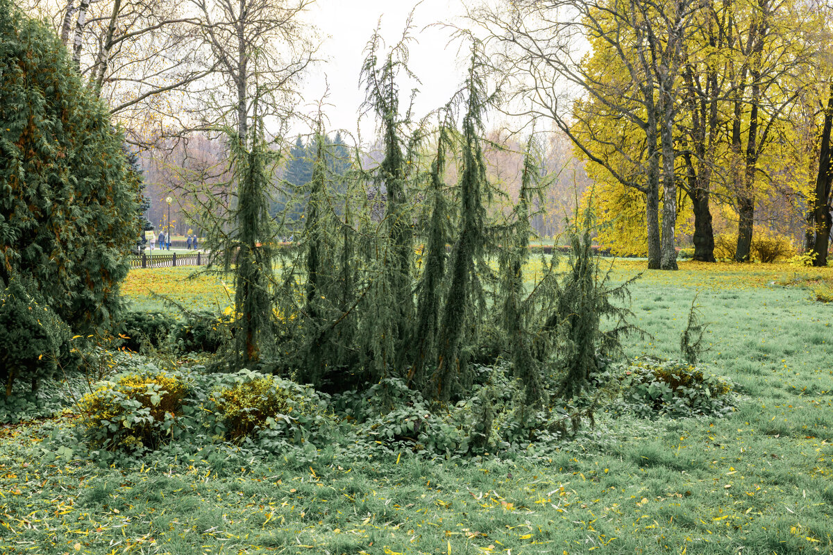 *** - Валерий Пославский