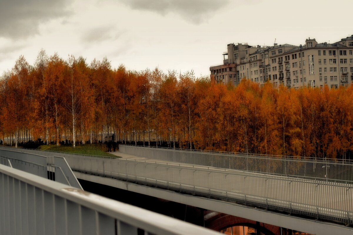 Здесь царит тишина и гармония с природой. - Татьяна Помогалова