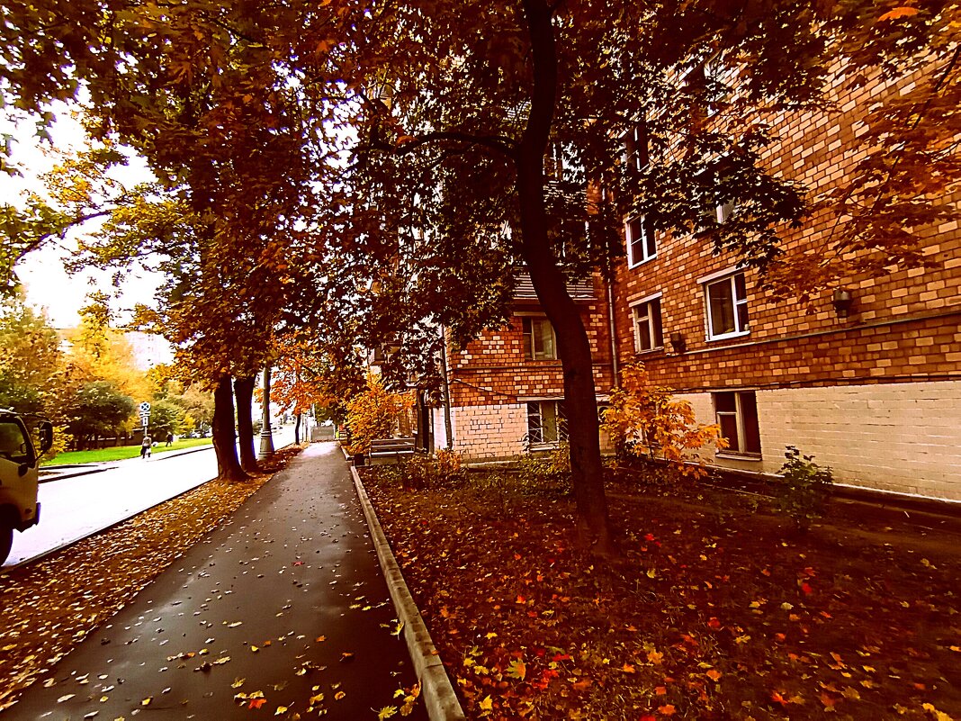 Осень - Владимир Драгунский