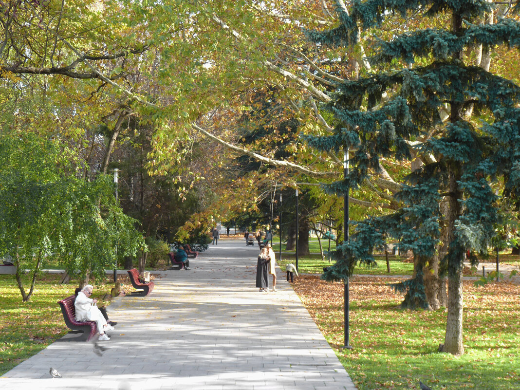 Отдых в парке - Валентин Семчишин