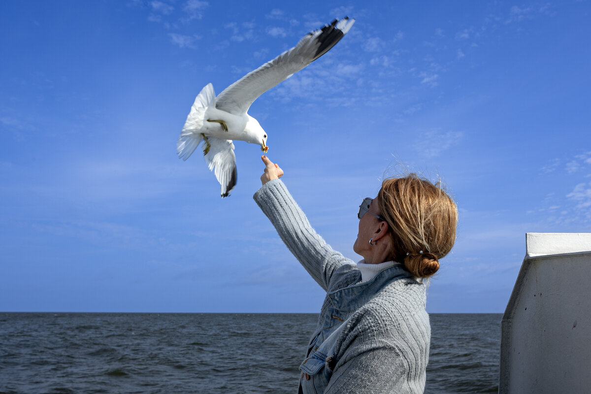 По пути следования - Александр Силинский