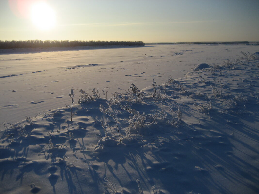 Короткий зимний день - Anna Ivanova