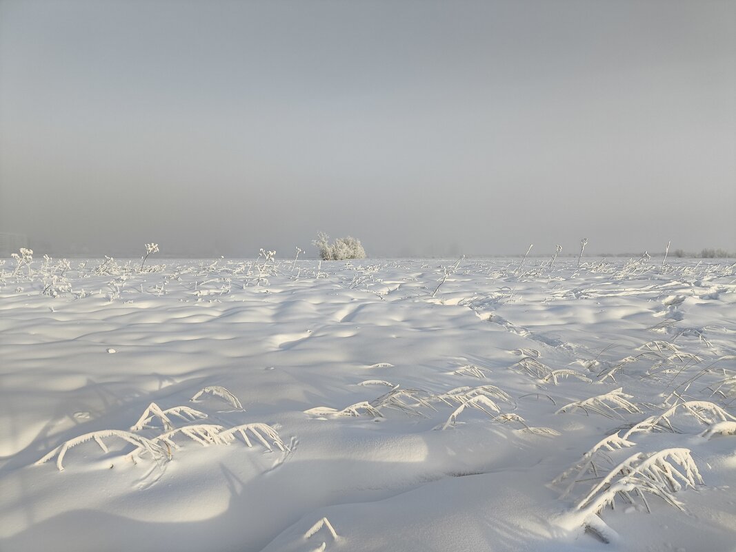 Туманное утро - Anna Ivanova Туманное утро - Anna Ivanova