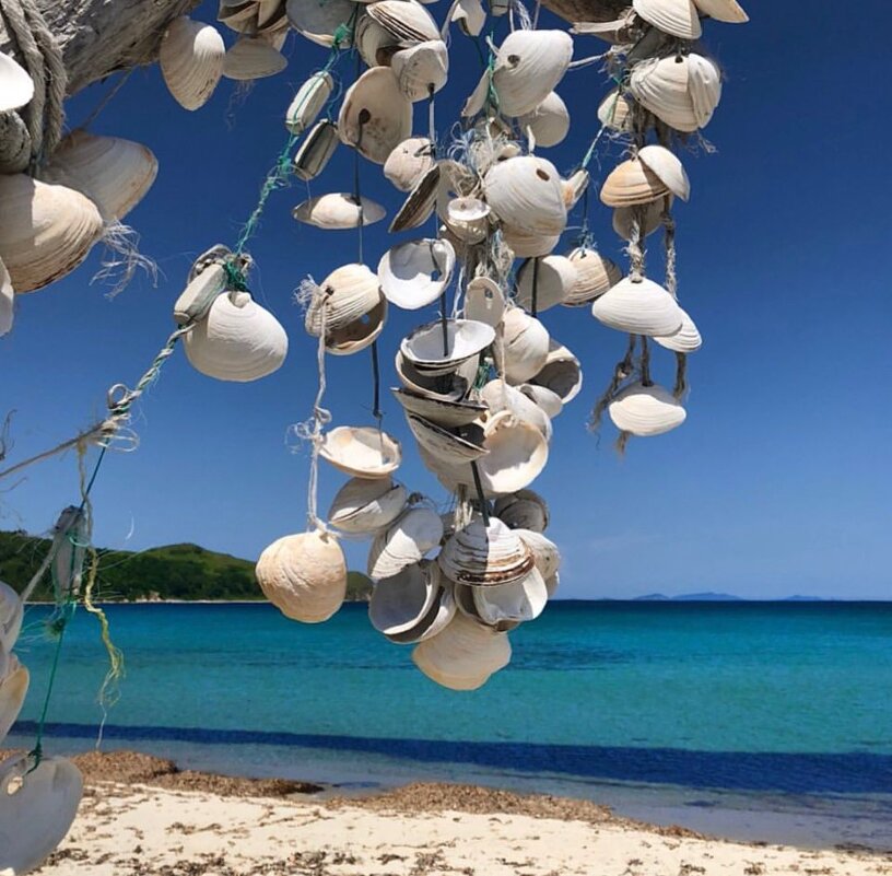 Интерьер моря - Елена Семигина