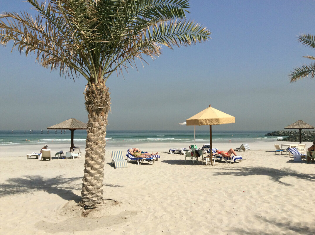 Там,где всегда лето... - Alisia La DEMA Там,где всегда лето... - Alisia La DEMA