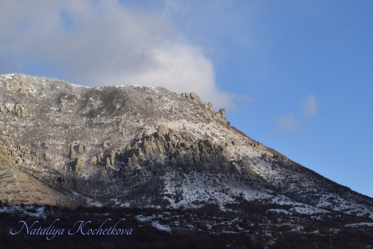 Природа Крыма - Amazing Cosmea