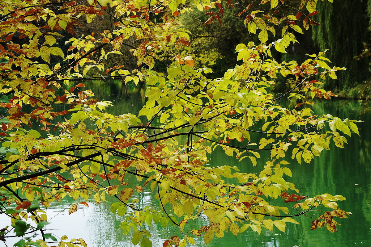 Картинки осени - Рита Симонова