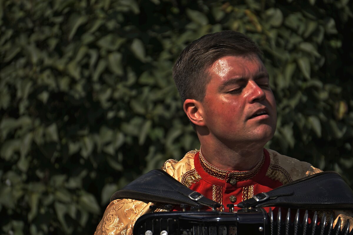 гармонист - Дмитрий Потапов