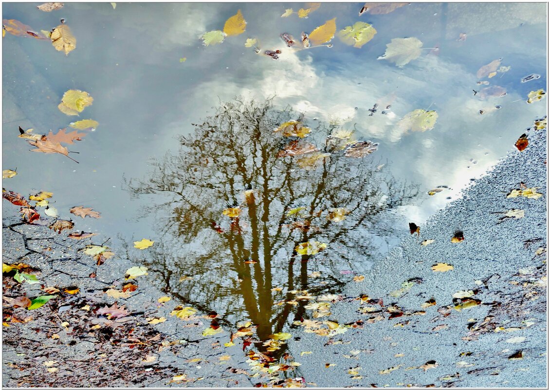 ОСЕННЯЯ РАПСОДИЯ... - Elvira E. ОСЕННЯЯ РАПСОДИЯ... - Elvira E.