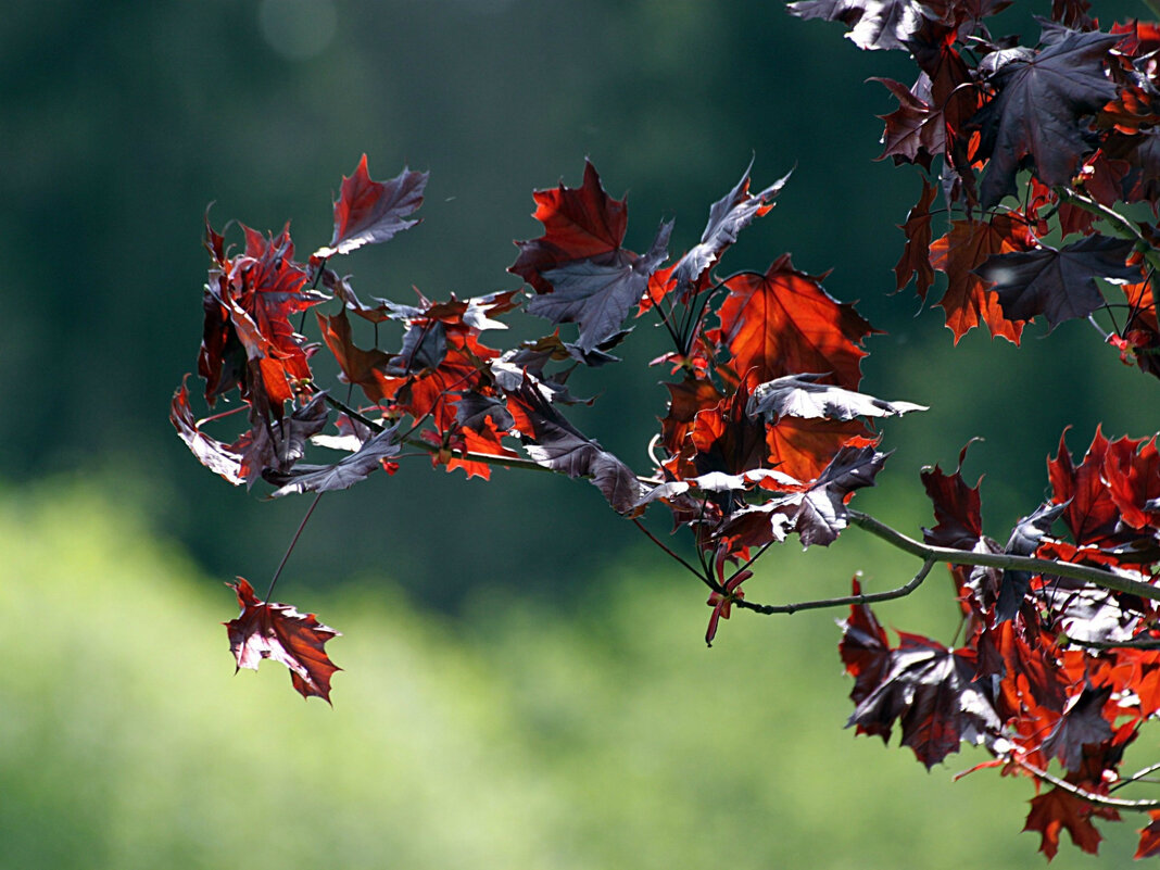 Утром... - Татьяна Львова