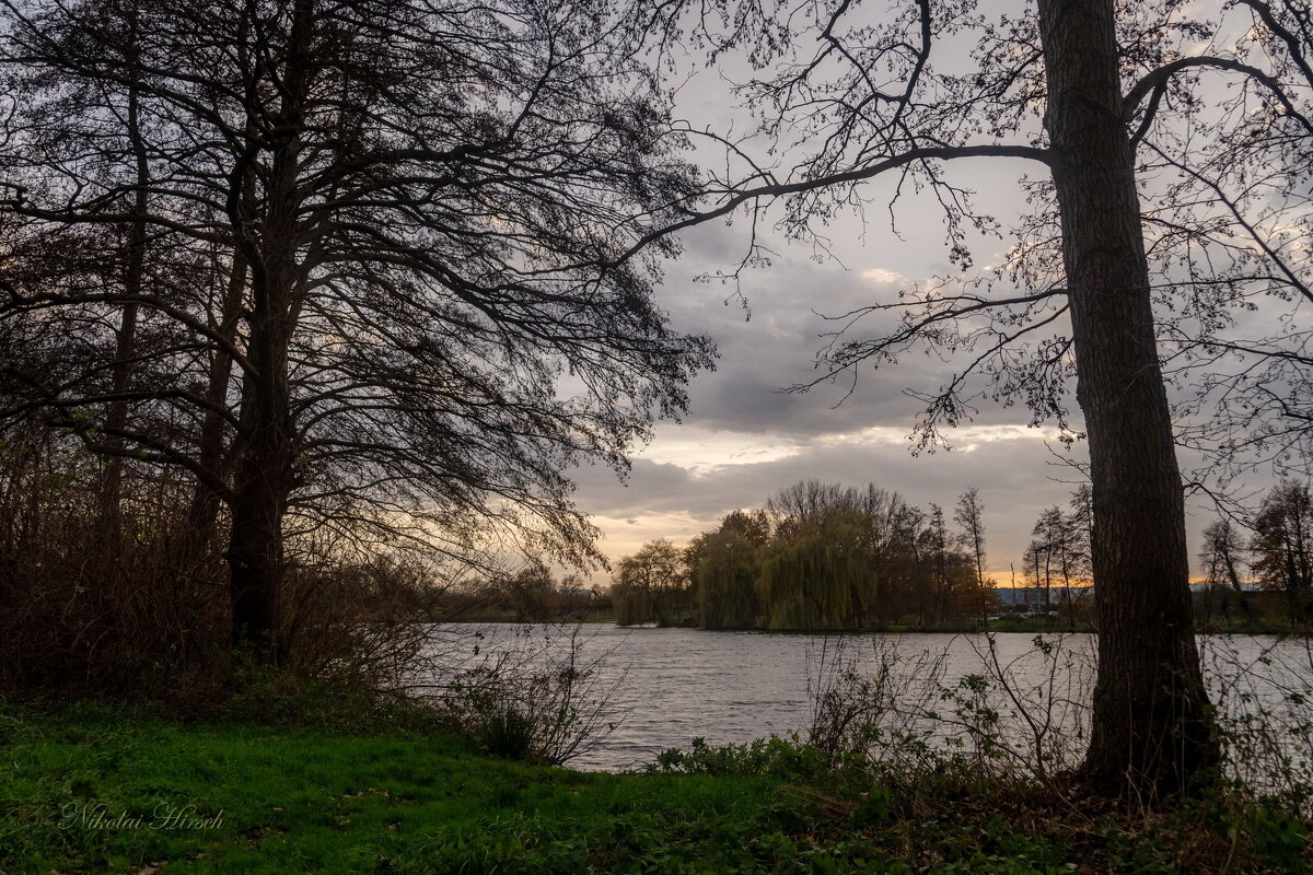 *** - Николай Гирш