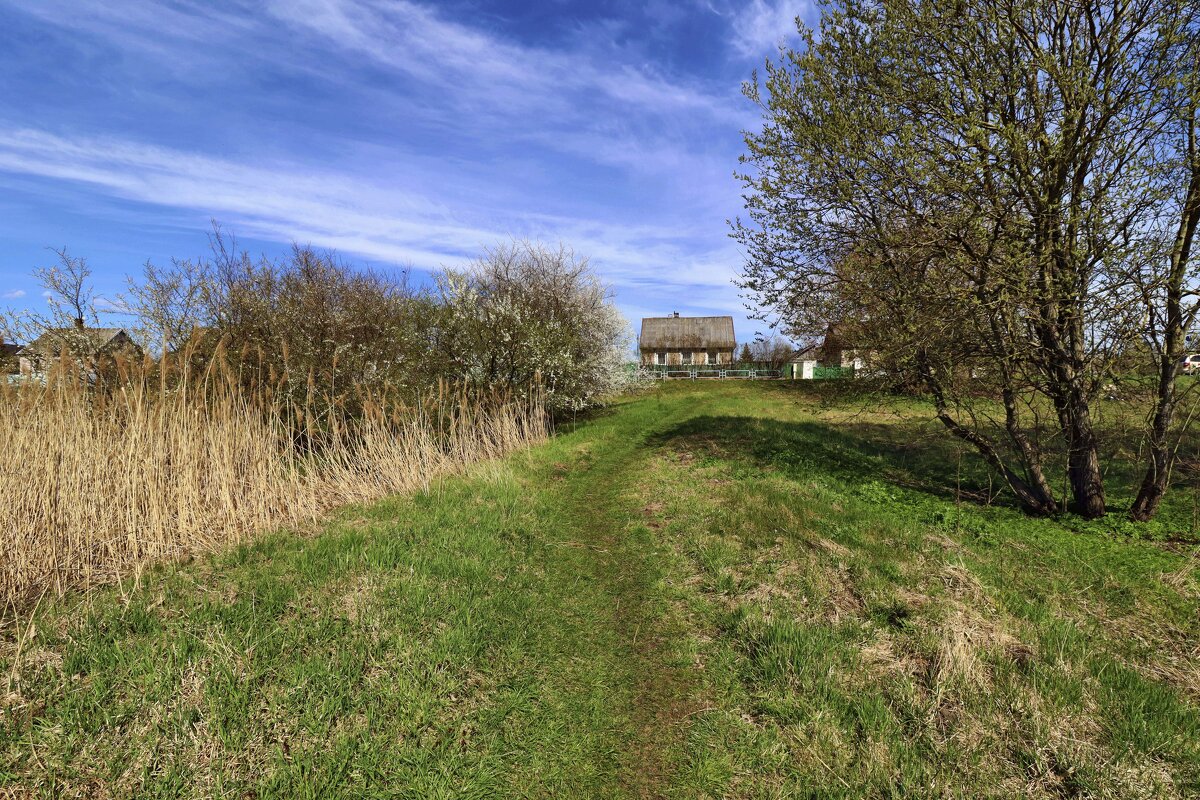 Дом на горе - Николай 