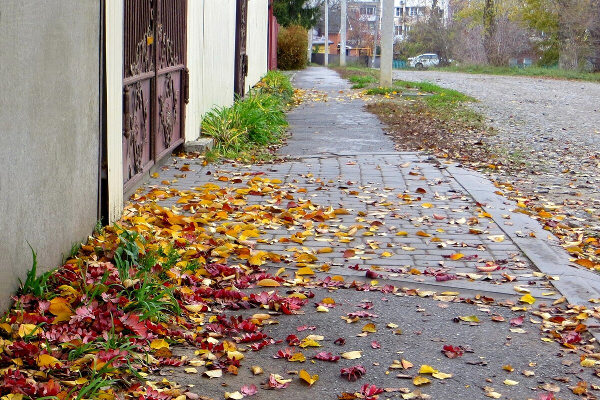 А у нас листопад - Татьяна Смоляниченко