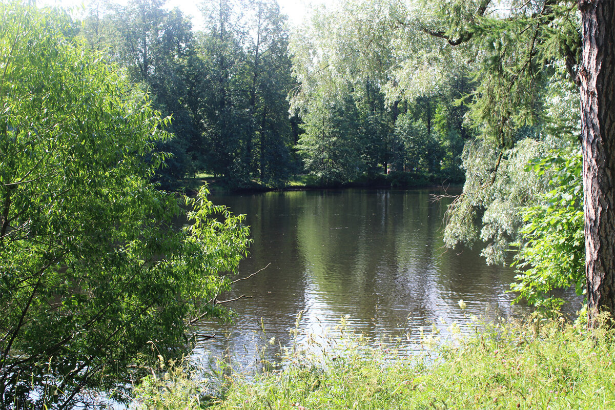 Парк - Любовь ***