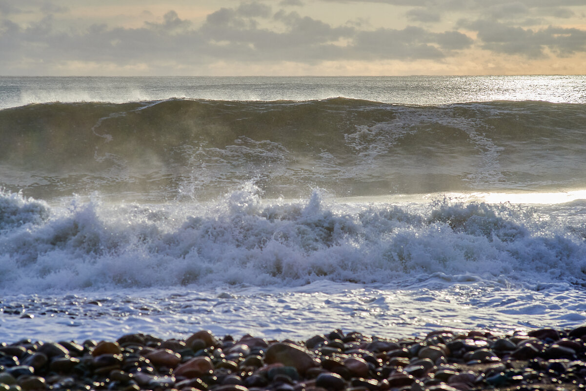 волна номер 2 - Александр Леонов