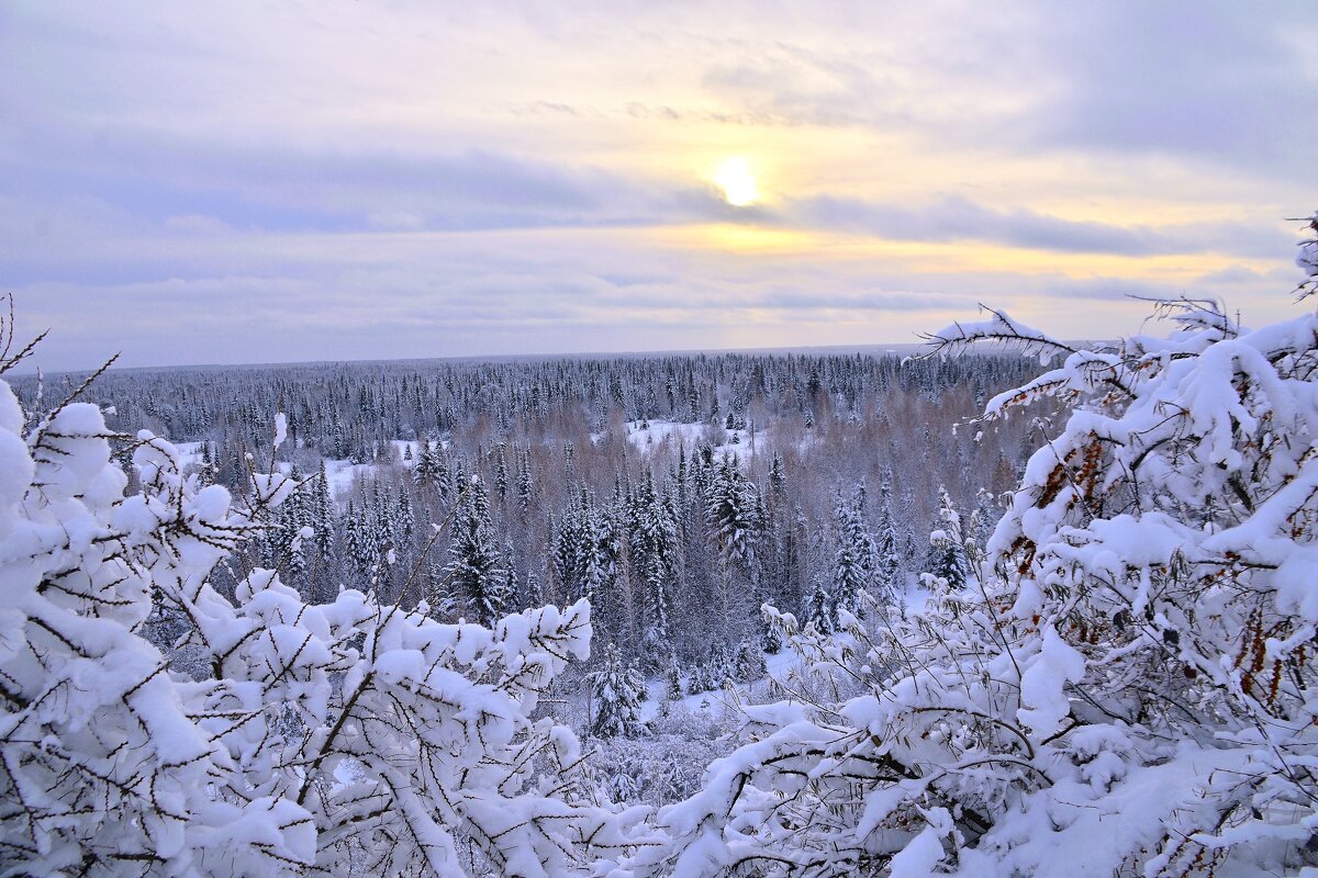 Белое безмолвие. - Владимир Мигонькин Белое безмолвие. - Владимир Мигонькин