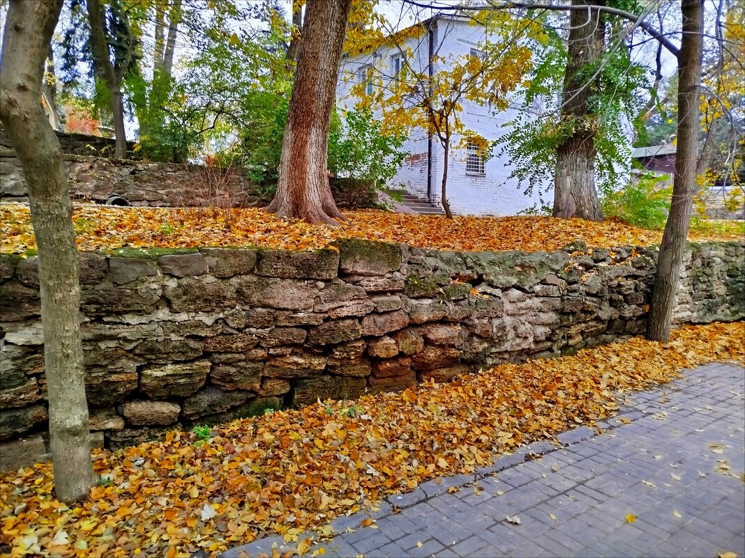 Осень! - Надежда 