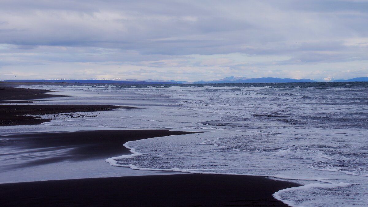 Берег океана - Сергей Швечков