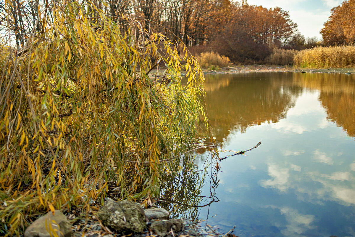 возле воды - валерий 