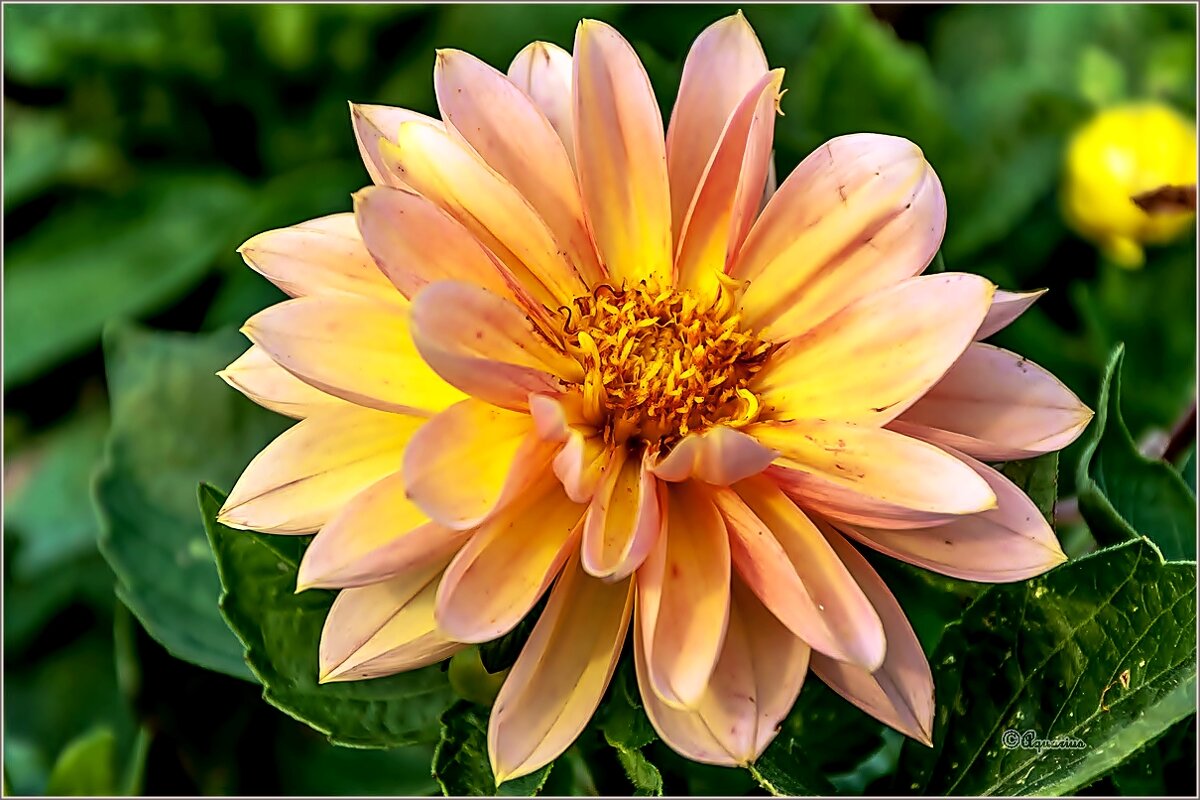 Сентябрь . - Aquarius - Сергей