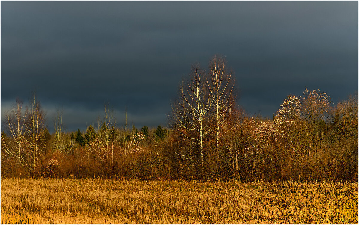 Цветущий ноябрь - Валентин Котляров