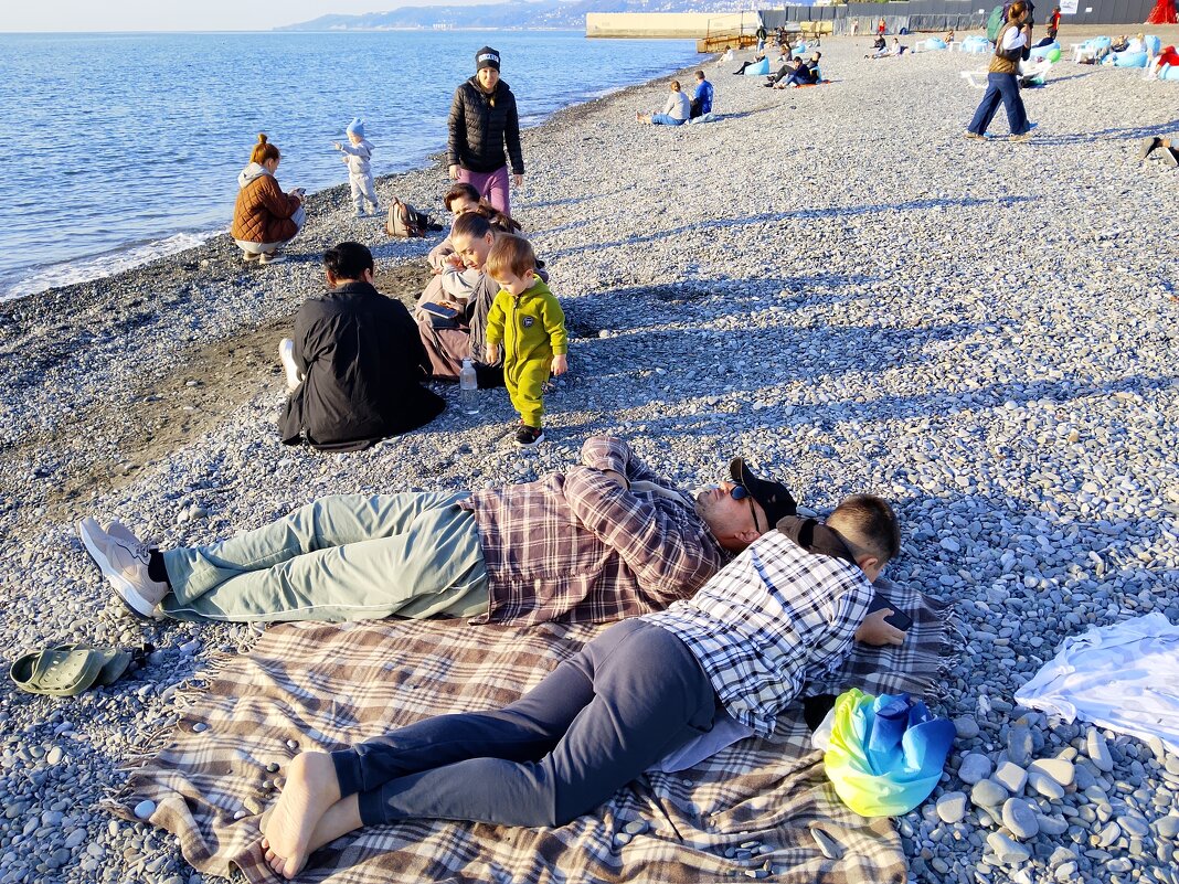 РИВЬЕРА - Tata Wolf